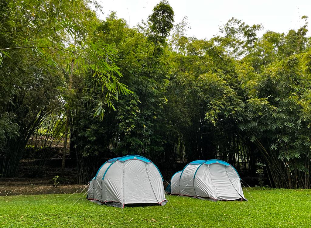 WhatsApp Image 2022-07-18 at 14.00.27